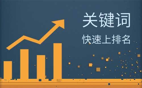 网络推广选对平台很重要,哪些平台是企业常用的?